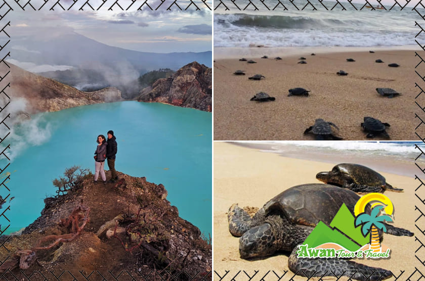 Ijen Crater Sukamade Tour Start Banyuwangi (2d1n)