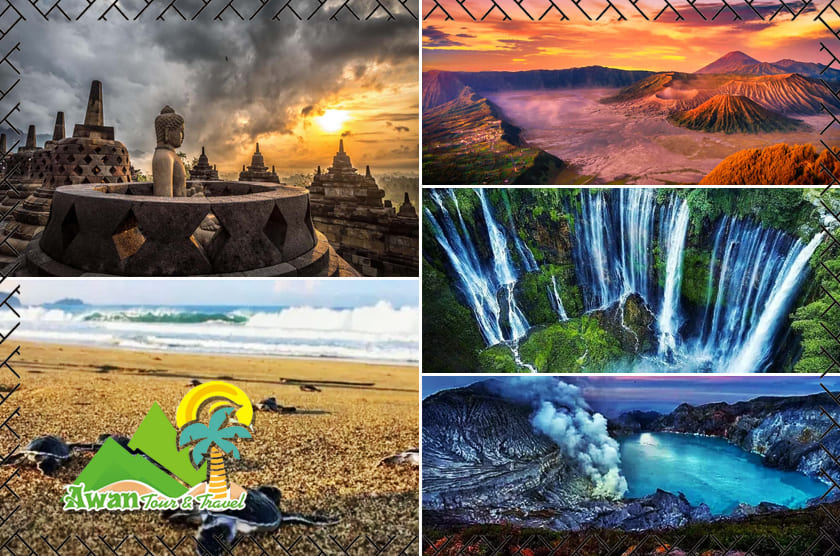 7 Days Overland Tour Yogyakarta Bromo Ijen Sewu & Sukamade