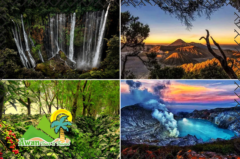 Mount Bromo Ijen Tumpak Sewu Kalibaru Tour 4D3N from Malang