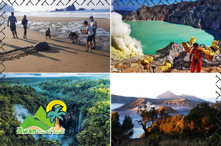Tumpak Sewu Bromo Ijen & Sukamade 5D4N Tour from Malang
